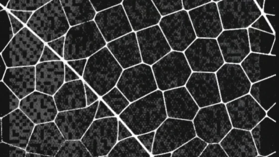 Image credit: Constellation Research