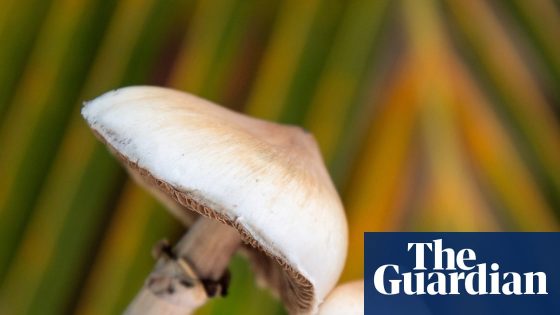 Image credit: The Guardian / https://www.theguardian.com/profile/iansample