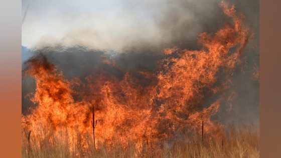 Image credit: New Federal Wildland Fire Service Enhances Wildfire Response in Colorado | Firehouse