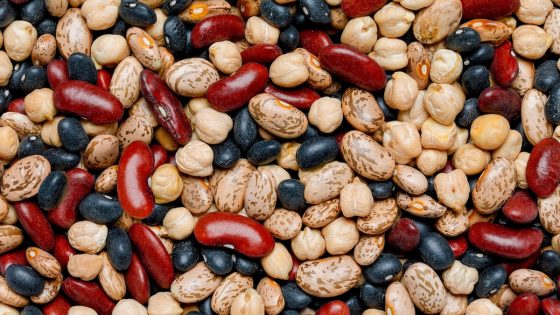 Image credit: Beans are a nutrient dense food. But which ones are best? | National Geographic