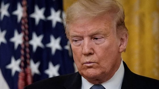 U.S. President Donald Trump. — Image credit: Donald Trump Spirals as His D.C. Makeover Turns into Slimy Fiasco
