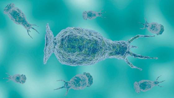 Image credit: North Carolina teen dies after contracting rare brain-eating amoeba found in freshwater: Officials - ABC News / ABC News