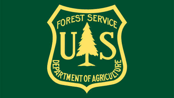 U.S. Forest Service to Close Majority of Research Stations in Major Restructuring