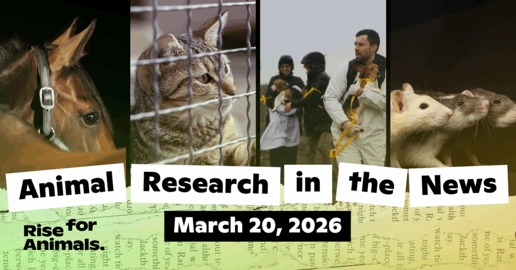 Image credit: Animal Research News Roundup: March 20, 2026 – Rise for Animals