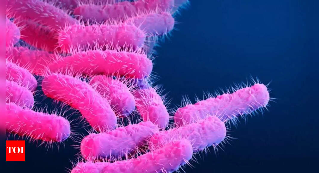 Image credit: Diarrhea-causing superbug is on the loose; stirs up trouble in Los Angeles - Times of India