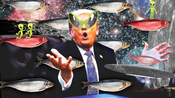 U.S. Defense Department Releases Decades of UFO Files
